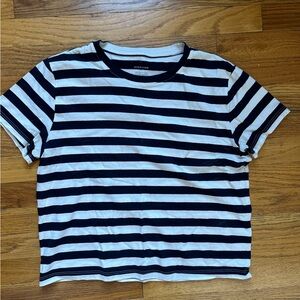 Everlane organic cotton boxy tee navy stripe
